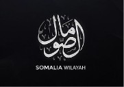 Islamic State Somalia (IS Somalia)